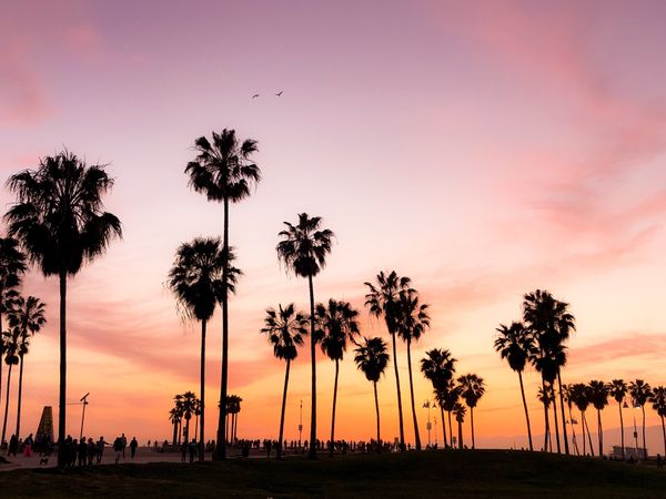 Best cities to visit in California